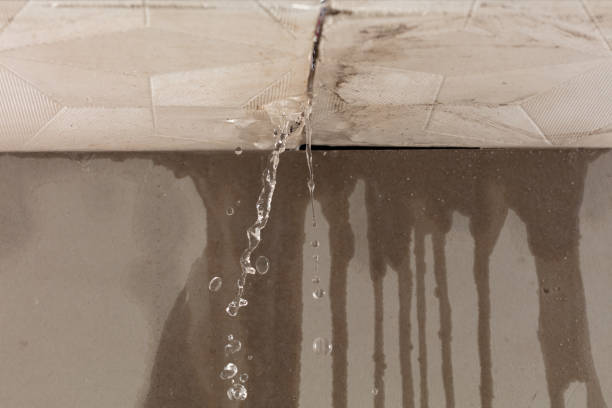 Professional Water Extraction technician working in Plainwell, MI